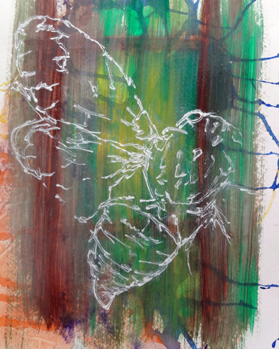 Cicada
