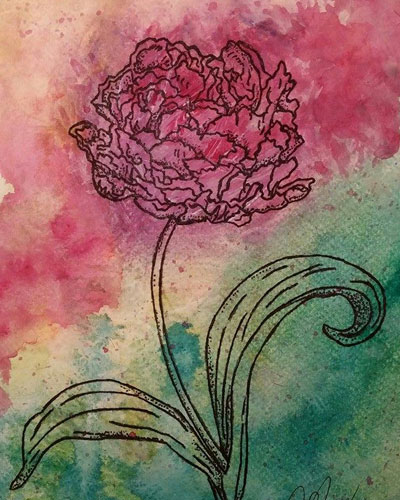 Double Tulip