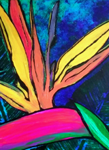 Bird Of Paradise