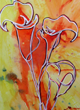 Calla Lilies