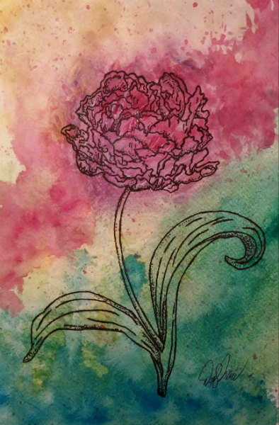 Double Tulip