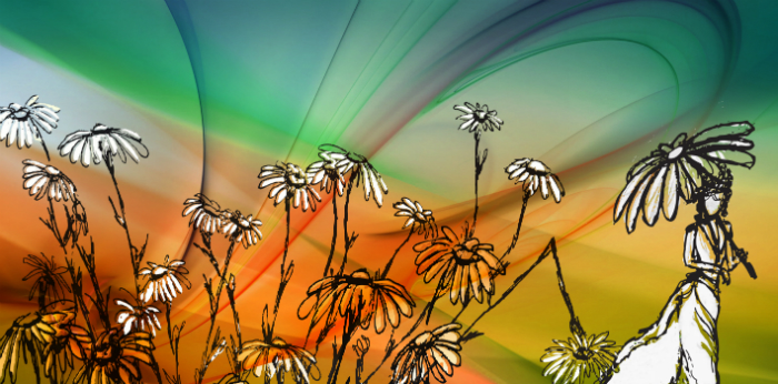 Field Of Flowers