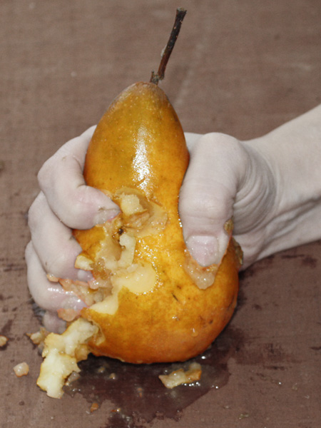 Fruit Is Not Art